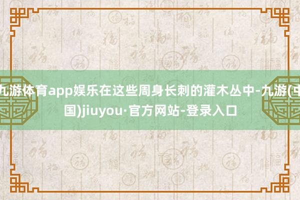 九游体育app娱乐在这些周身长刺的灌木丛中-九游(中国)jiuyou·官方网站-登录入口