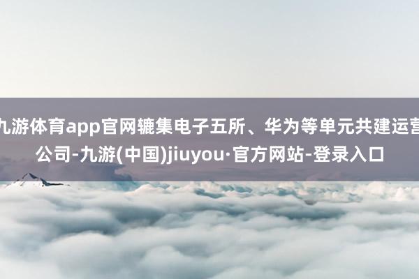 九游体育app官网辘集电子五所、华为等单元共建运营公司-九游(中国)jiuyou·官方网站-登录入口