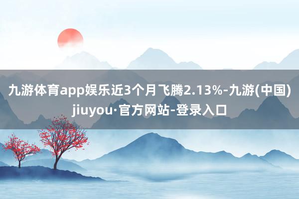 九游体育app娱乐近3个月飞腾2.13%-九游(中国)jiuyou·官方网站-登录入口