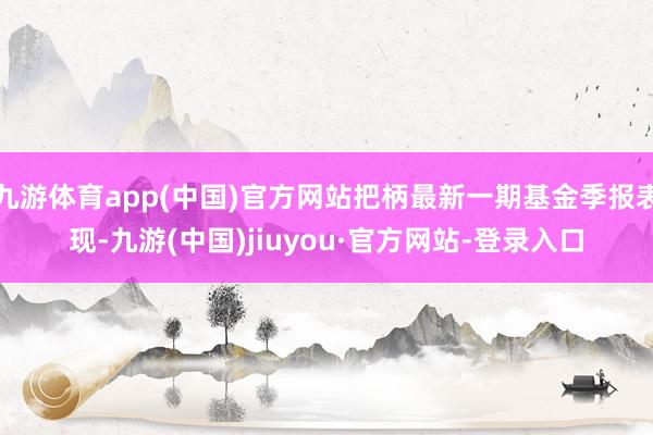 九游体育app(中国)官方网站把柄最新一期基金季报表现-九游(中国)jiuyou·官方网站-登录入口