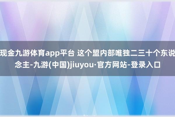 现金九游体育app平台 这个盟内部唯独二三十个东说念主-九游(中国)jiuyou·官方网站-登录入口