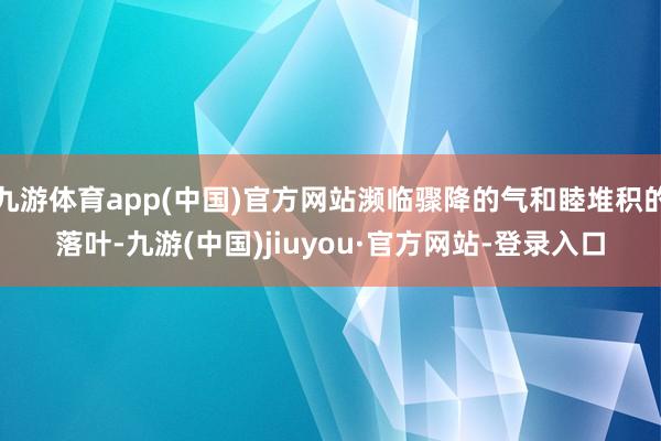 九游体育app(中国)官方网站濒临骤降的气和睦堆积的落叶-九游(中国)jiuyou·官方网站-登录入口
