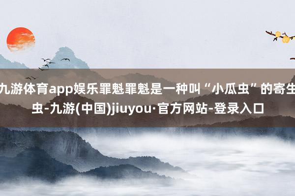 九游体育app娱乐罪魁罪魁是一种叫“小瓜虫”的寄生虫-九游(中国)jiuyou·官方网站-登录入口