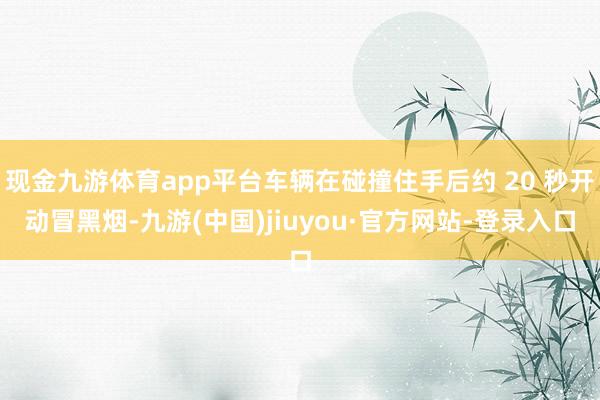 现金九游体育app平台车辆在碰撞住手后约 20 秒开动冒黑烟-九游(中国)jiuyou·官方网站-登录入口